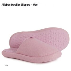 *new* Allbirds Soft Pink Wool Dweller Slippers
